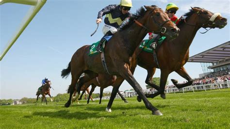 bbc sport horse racing|bbc sport horse racing live.